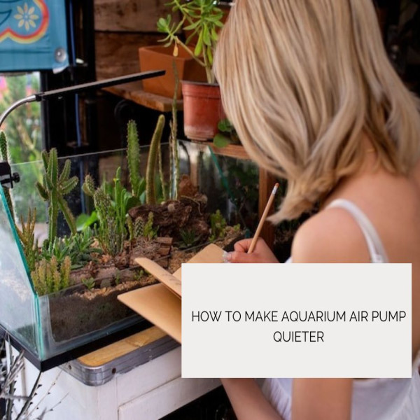 How To Make Aquarium Air Pump Quieter
